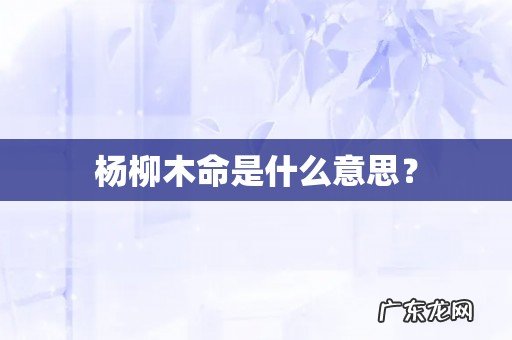杨柳木命是什么意思？