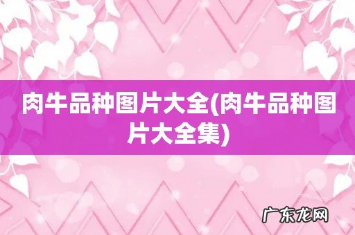 肉牛品种图片大全集 肉牛品种图片大全