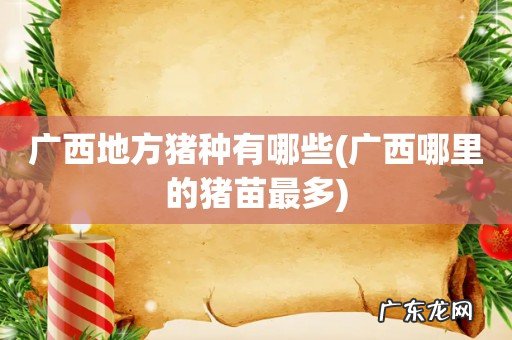 广西哪里的猪苗最多 广西地方猪种有哪些