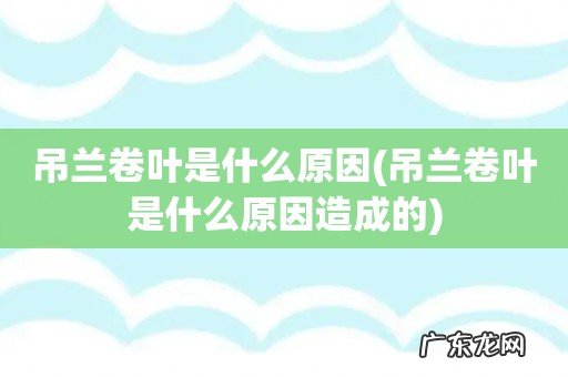 吊兰卷叶是什么原因造成的 吊兰卷叶是什么原因