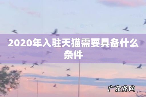 2020年入驻天猫需要具备什么条件