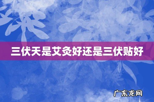 三伏天是艾灸好还是三伏贴好