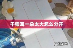 干银耳一朵太大怎么分开