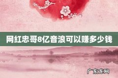 网红忠哥8亿音浪可以赚多少钱