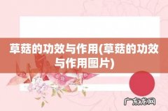 草菇的功效与作用图片 草菇的功效与作用