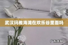 武汉玛雅海滩在欢乐谷里面吗