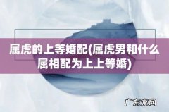 属虎男和什么属相配为上上等婚 属虎的上等婚配