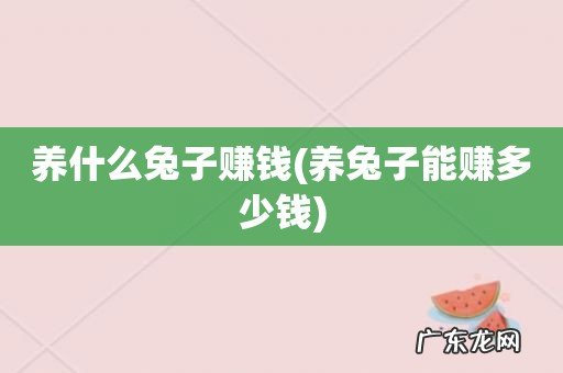 养兔子能赚多少钱 养什么兔子赚钱