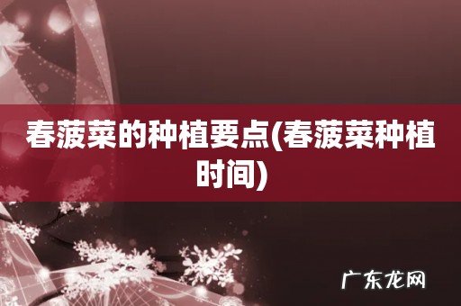 春菠菜种植时间 春菠菜的种植要点