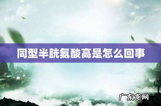 同型半胱氨酸高是怎么回事