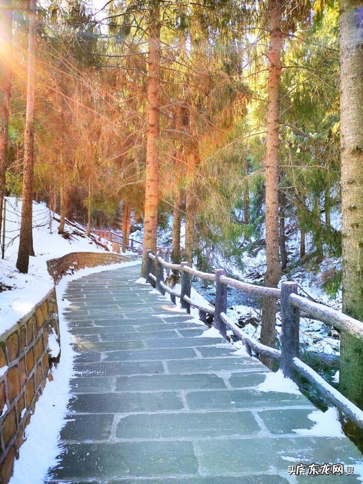 真龙吐珠风水宝地 黄龙吐珠风水宝地图片