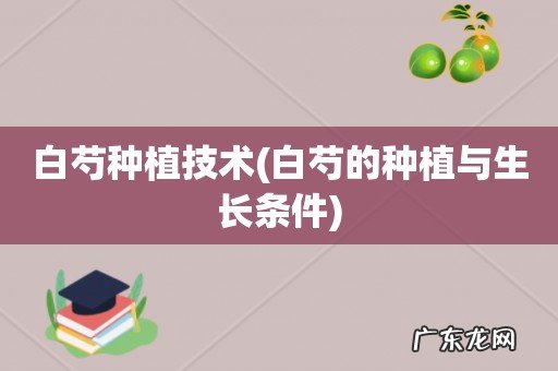 白芍的种植与生长条件 白芍种植技术