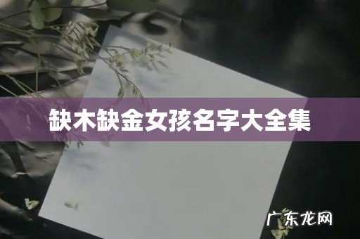 缺木缺金女孩名字大全集