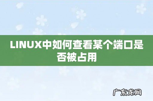 LINUX中如何查看某个端口是否被占用