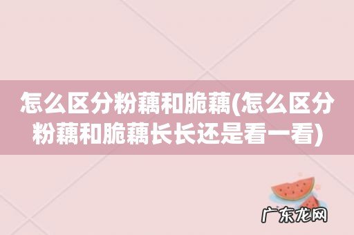怎么区分粉藕和脆藕长长还是看一看 怎么区分粉藕和脆藕