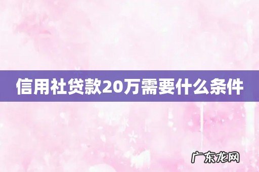 信用社贷款20万需要什么条件