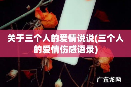 三个人的爱情伤感语录 关于三个人的爱情说说