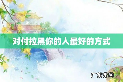 对付拉黑你的人最好的方式