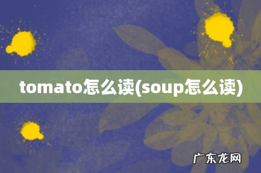soup怎么读 tomato怎么读