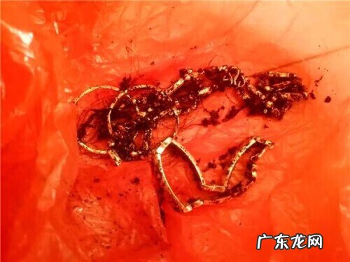 风水先生无地葬 算命先生半路亡 得罪风水先生坑你好几代完整版