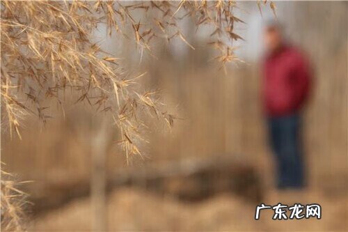 风水先生无地葬 算命先生半路亡 得罪风水先生坑你好几代完整版