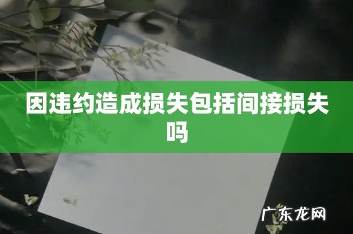 因违约造成损失包括间接损失吗