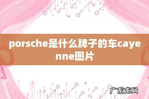 porsche是什么牌子的车cayenne图片