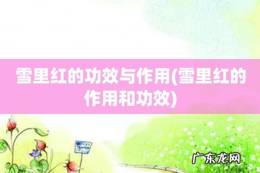 雪里红的作用和功效 雪里红的功效与作用