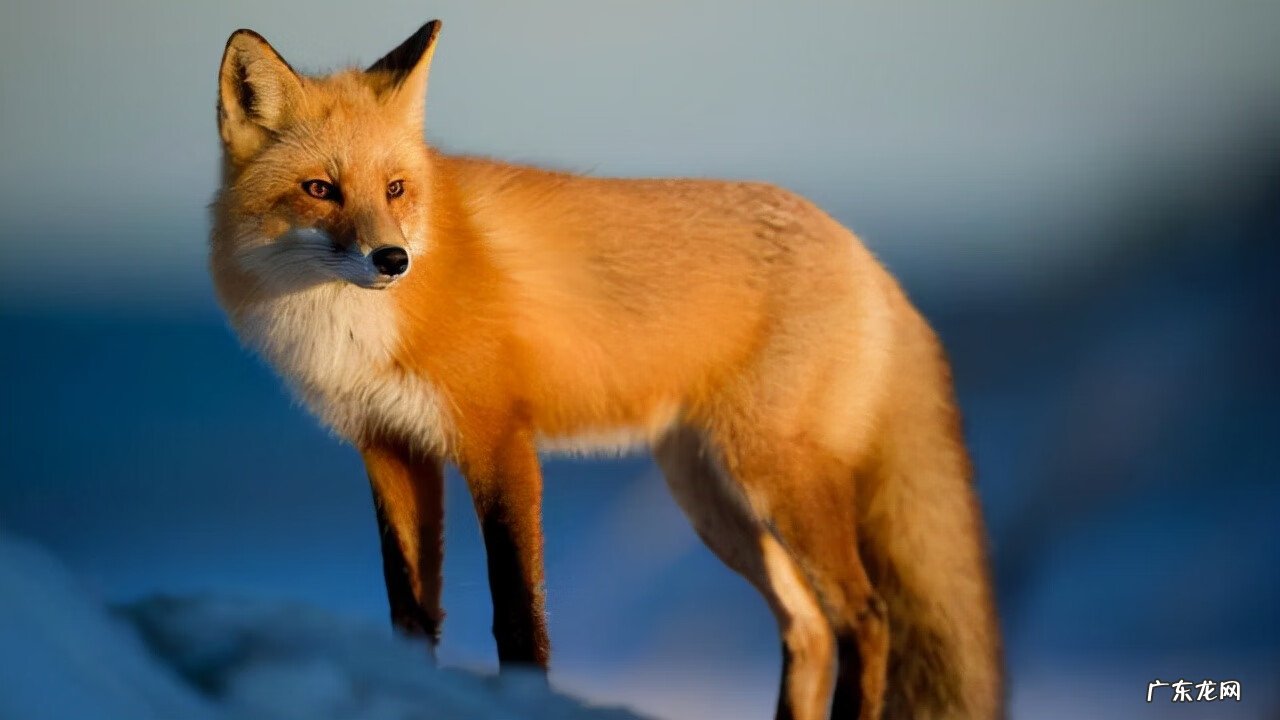 天马山风水图 风水地龙图片