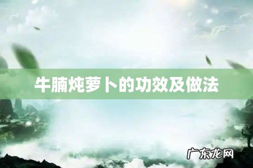 牛腩炖萝卜的功效及做法