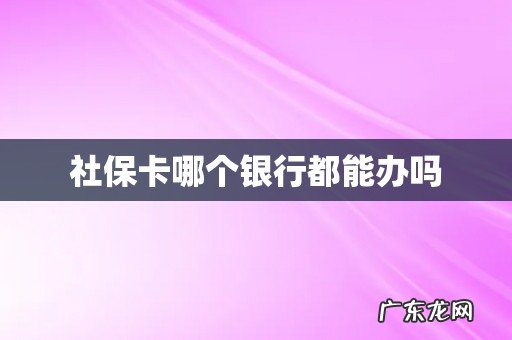 社保卡哪个银行都能办吗