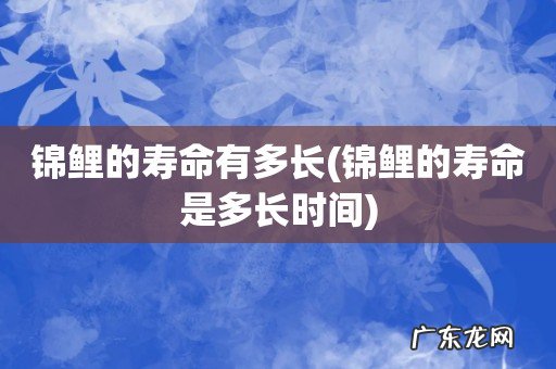 锦鲤的寿命是多长时间 锦鲤的寿命有多长
