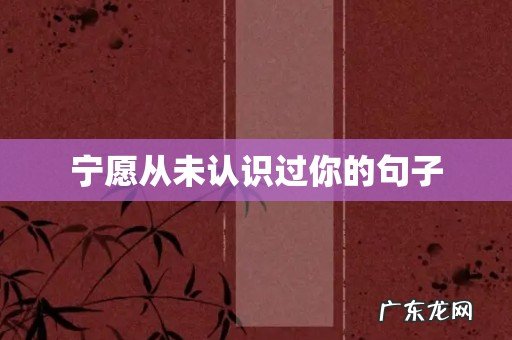 宁愿从未认识过你的句子
