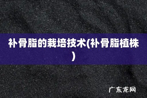 补骨脂植株 补骨脂的栽培技术