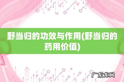 野当归的药用价值 野当归的功效与作用