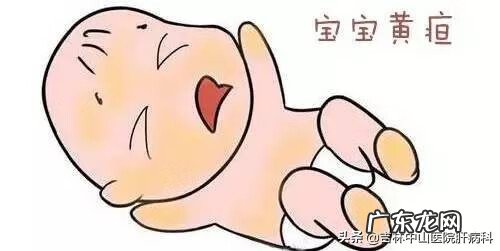 总胆红素高的原因和危害 总胆红素偏高的危害是什么