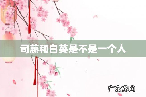 司藤和白英是不是一个人