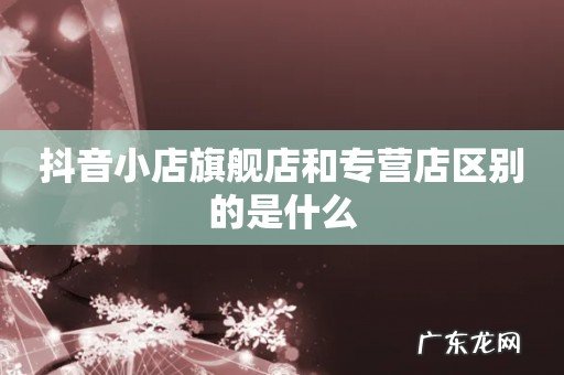 抖音小店旗舰店和专营店区别的是什么