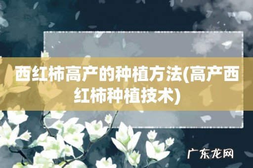 高产西红柿种植技术 西红柿高产的种植方法