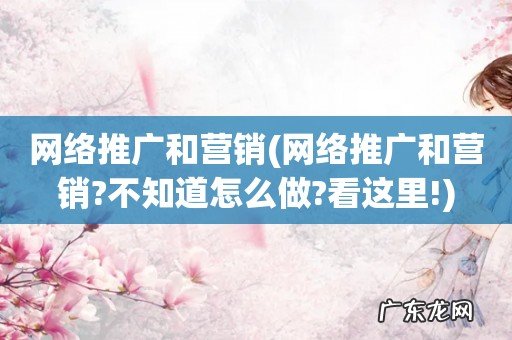 网络推广和营销?不知道怎么做?看这里! 网络推广和营销