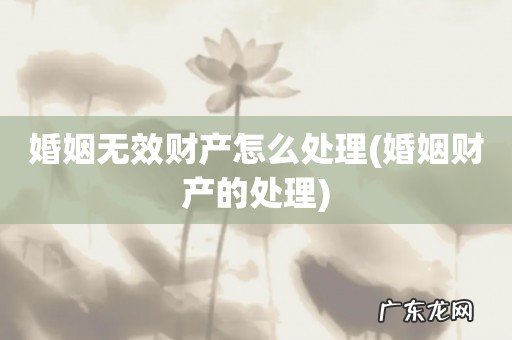 婚姻财产的处理 婚姻无效财产怎么处理