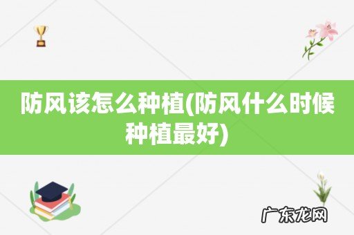 防风什么时候种植最好 防风该怎么种植