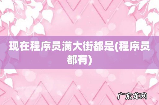 程序员都有 现在程序员满大街都是