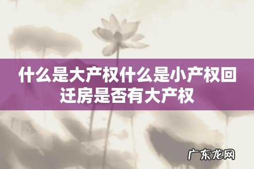 什么是大产权什么是小产权回迁房是否有大产权