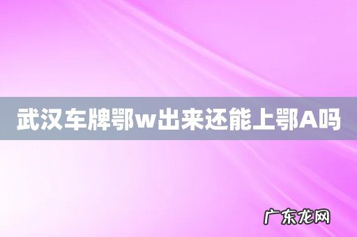 武汉车牌鄂w出来还能上鄂A吗