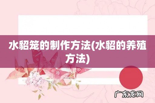 水貂的养殖方法 水貂笼的制作方法