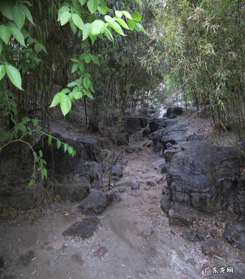 丘陵风水 风水山丘