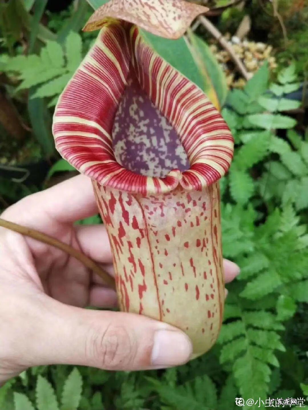 屋后有水沟风水好不好 我家下面有两条水沟风水怎么样