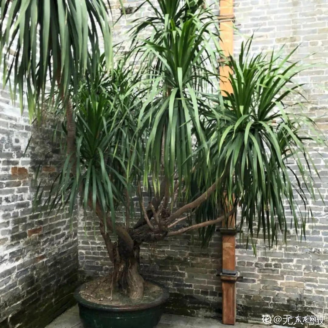 屋后有水沟风水好不好 我家下面有两条水沟风水怎么样