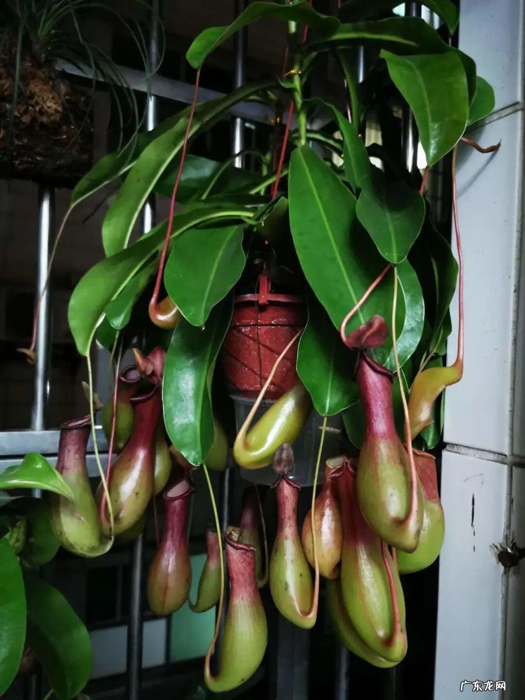 屋后有水沟风水好不好 我家下面有两条水沟风水怎么样